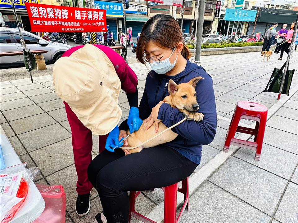 112年度永靖鄉寵物登記及狂犬病疫苗預防注射活動民眾寵物注射狂犬病疫苗