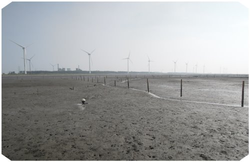 濱海生態-風力發電機圖片