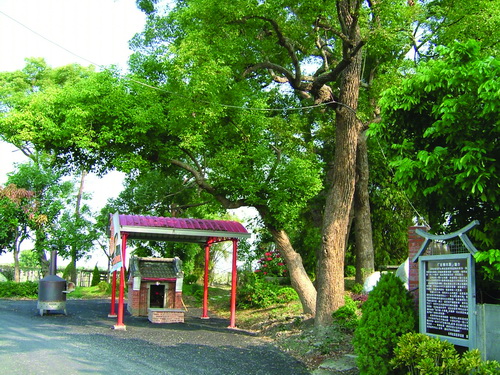 合興村古樟木群公園