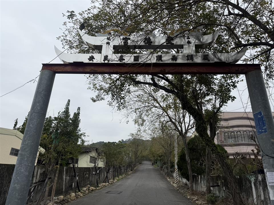 彰化二水~2025坑內坑森林步道，黃花風鈴木隧道最新花況0224花況01