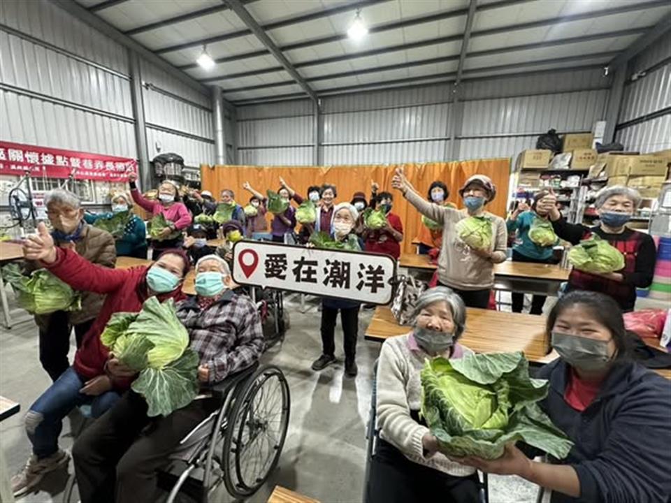 115年2月農曆年將至???? 高麗菜盛產又好吃