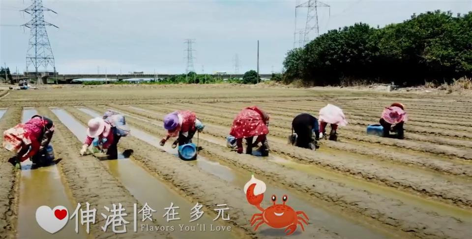 伸港食在多元影片